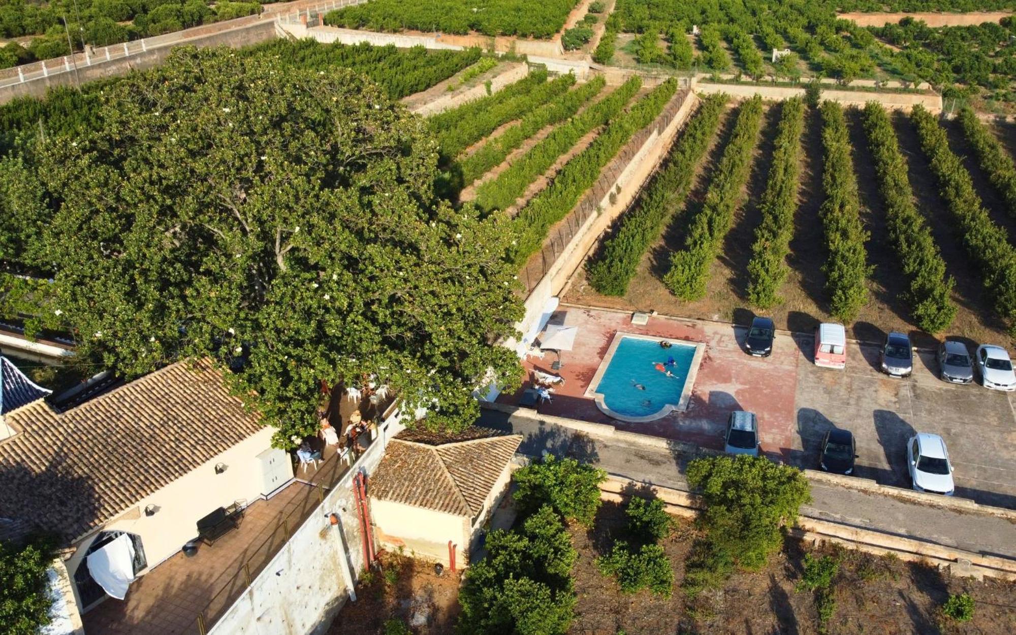 Casa Magnolia, A Rural Paradise House With Pool Alzira Εξωτερικό φωτογραφία