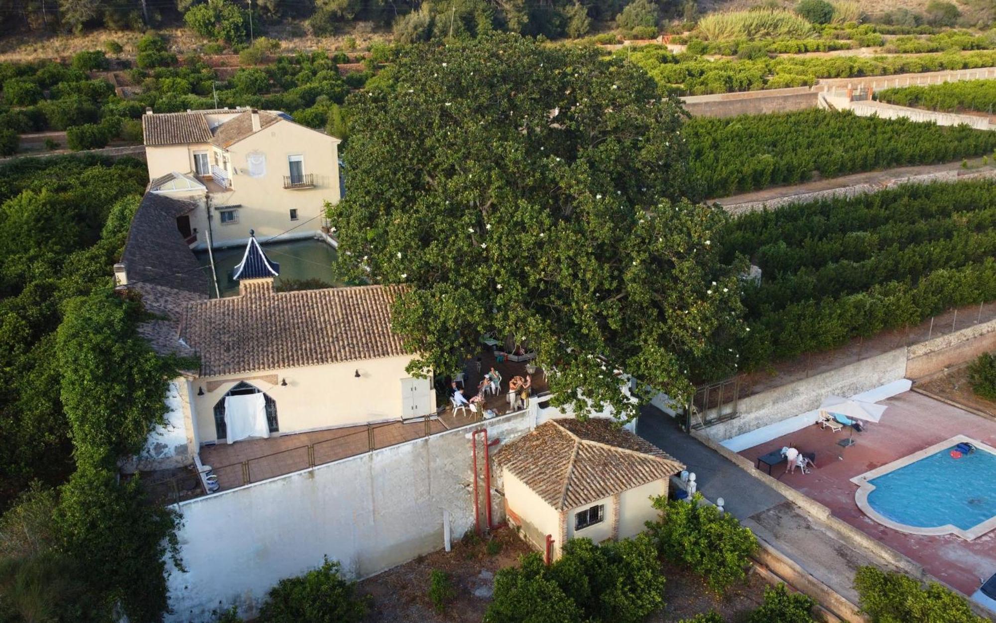 Casa Magnolia, A Rural Paradise House With Pool Alzira Εξωτερικό φωτογραφία